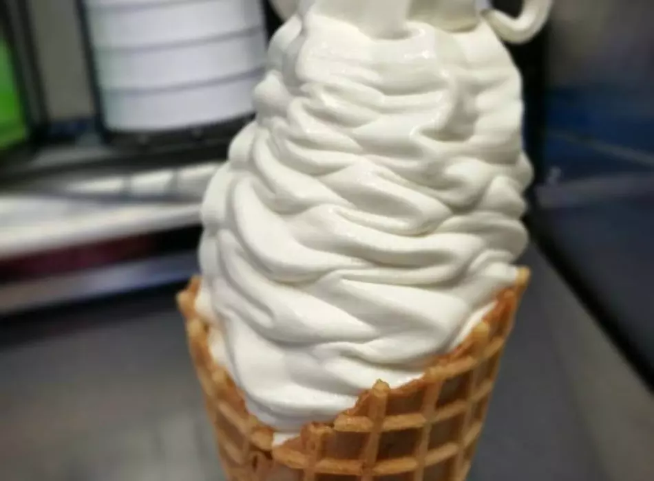 Madagascar Vanilla Waffle Ice Cream Cone
